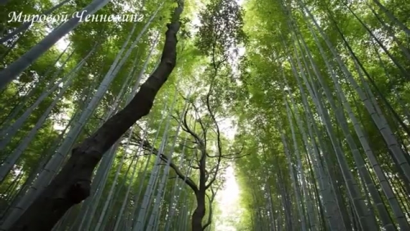 🔹Почему жизнь не меняется؟-ченнелинг