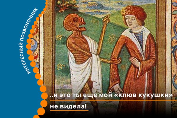 Пришло время делиться с вами интересными фактами о позвоночнике, которыми можно блеснуть в компании друзей. 