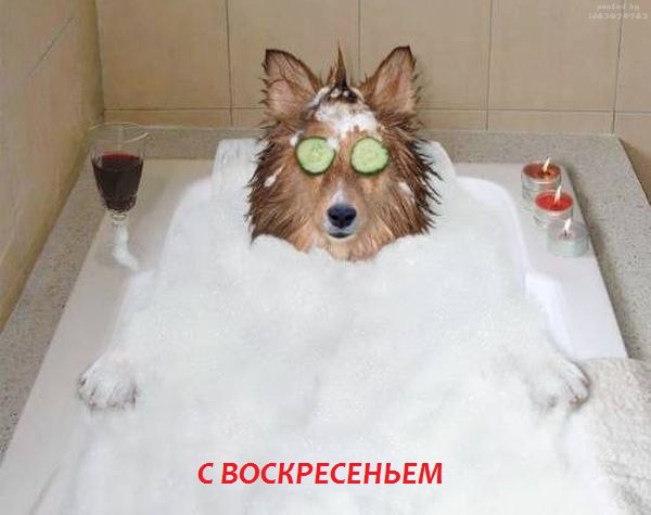 Воскресенье скоро закончится, поторопитесь с приветами. ;)