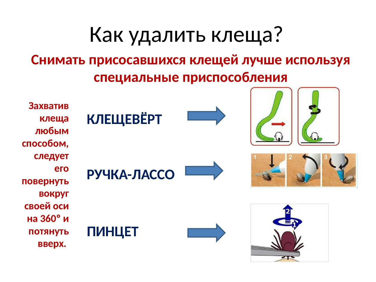 как удалить клеща