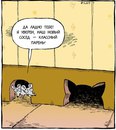 Объявление от Илья - фото №1