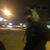 Даниил Петелов