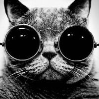 Игорь Полевич