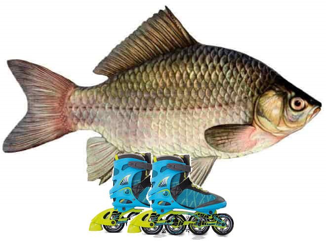 mYXHCVEVY1U.jpg