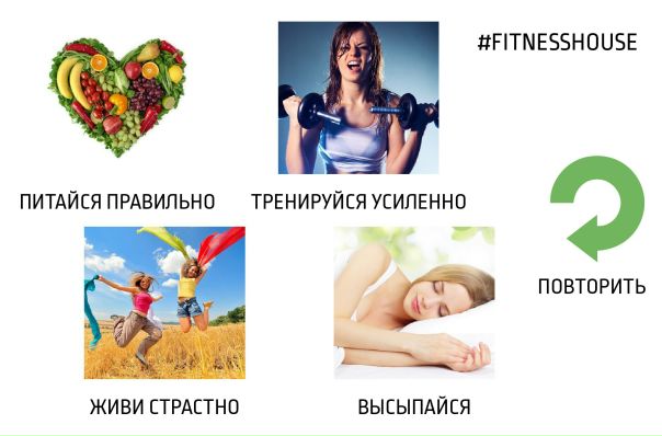 Правила моей жизни 