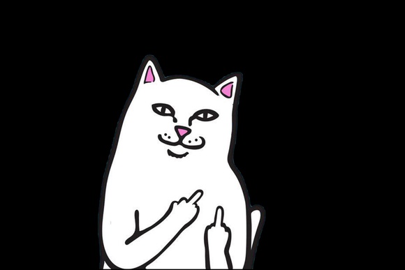 Кот с факом рисунок