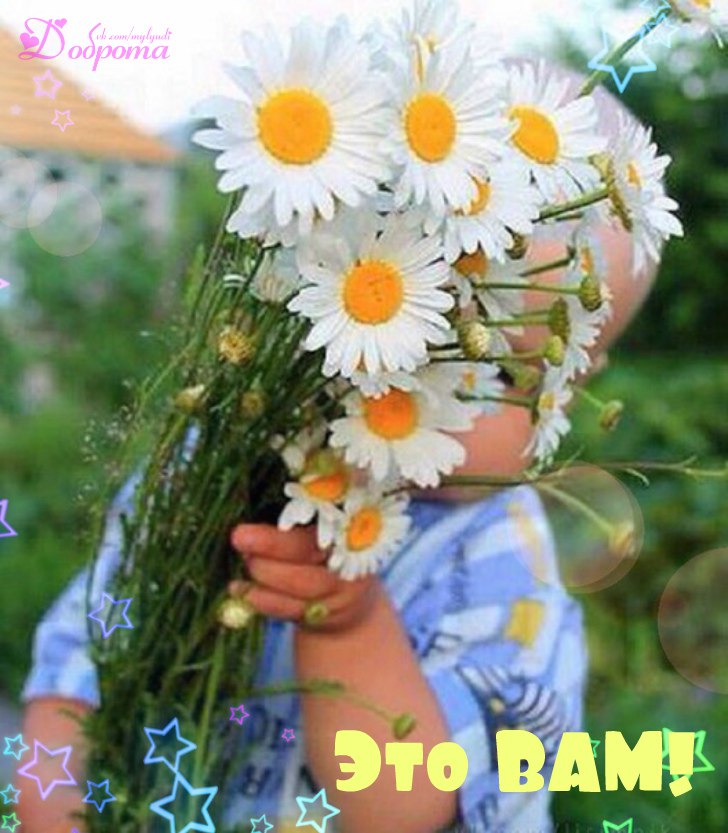 https://pp.userapi.com/c836125/v836125693/38f76/zhHHKcQ3JaM.jpg