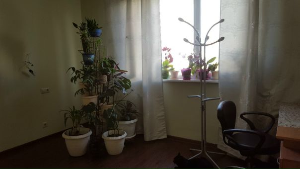 Сдам изолированную комнату в двушке м.Бибирево, ул.Коненкова дом 23. 15 минут пешком или 3 остановки на автобусе ( 5 мин), цена 18.000 тыс рублей. (все включено) Wi-Fi, мебель в комнате, стиральная машина, варочная панель, современный ремонт. <br>Комната сдается для одной девушки славянской внешности. - фото Фото: Сдам изолированную комнату в двушке м.Бибирево, ул.Коненкова дом 23. 15 минут пешком или 3 остановки на автобусе ( 5 мин), цена 18.000 тыс рублей. (все включено) Wi-Fi, мебель в комнате, стиральная машина, варочная панель, современный ремонт. <br>Комната сдается для одной девушки славянской внешности.