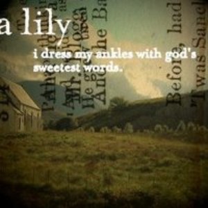 A Lily альбом I Dress My Ankles With God's Sweetest Words