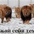 Фото пользователя Геннадий