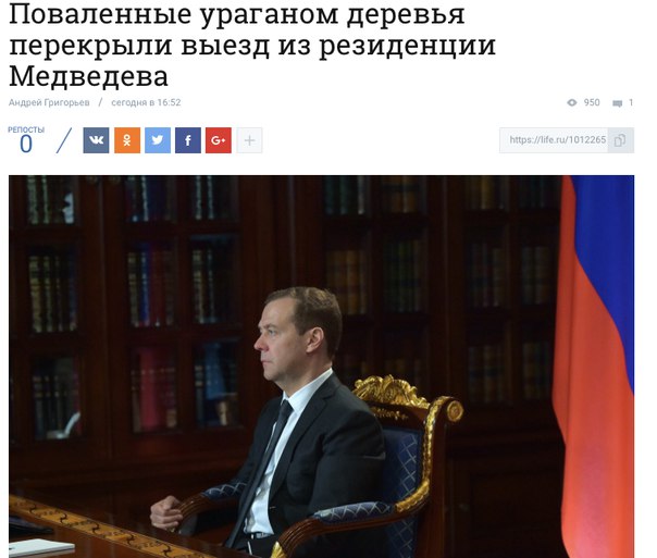 Распил (деревьев) Навального