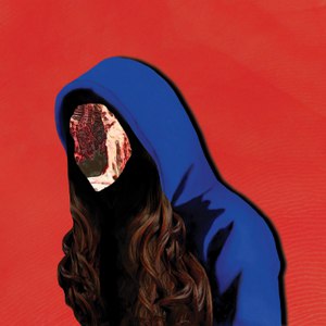 Альбом Gazelle Twin Fleshed Out