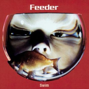 Feeder альбом Swim