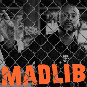 Madlib альбом Rock Konducta, Pt. 1