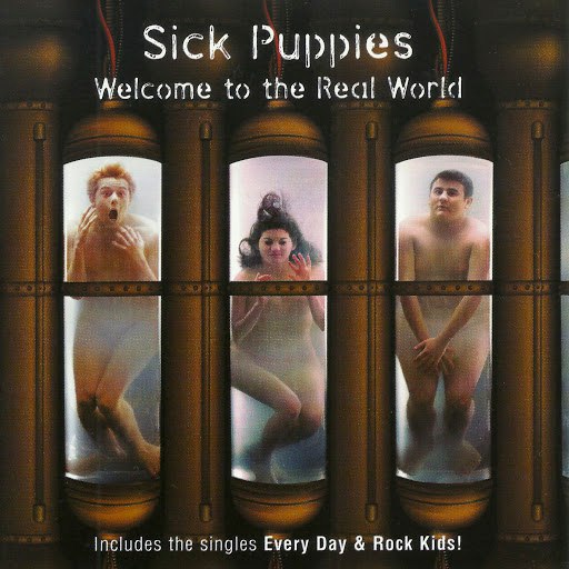 Sick Puppies альбом Welcome To The Real World