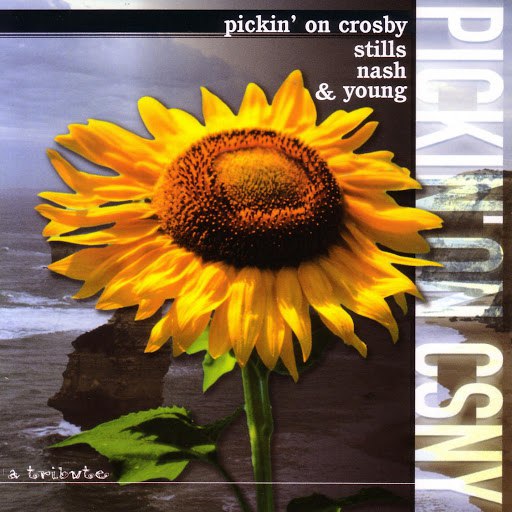 Pickin' On Series альбом Pickin' On Crosby, Stills, Nash And Young