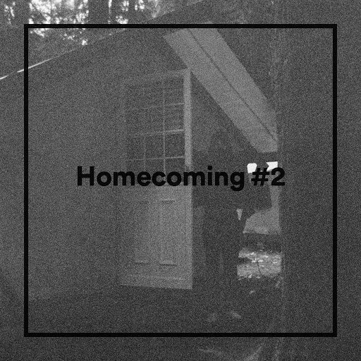 Tiger Lou альбом Homecoming #2