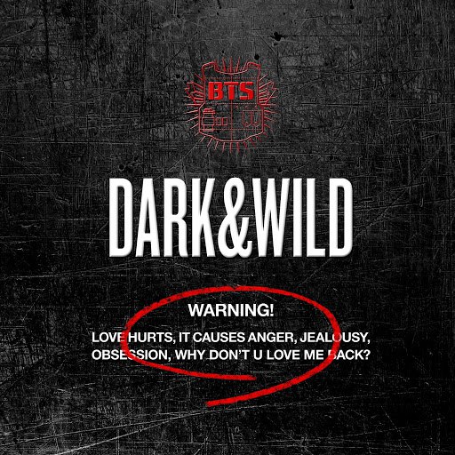 BTS альбом DARK&WILD