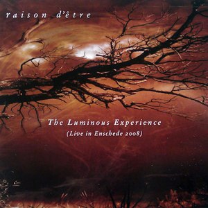 raison d'être альбом The Luminous Experience