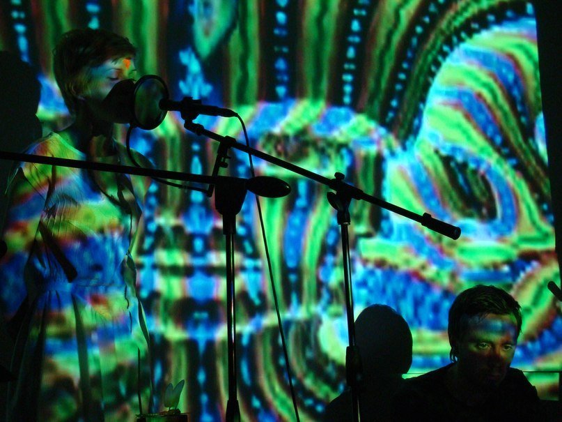 Vena Portae