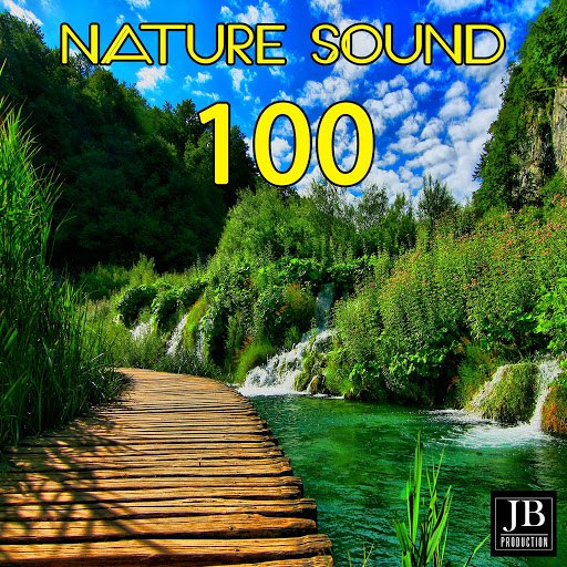 Fly Project альбом 100 Nature Sound