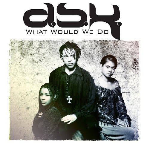 DSK альбом What Would We Do