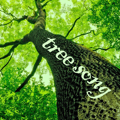 Deep Focus альбом Tree Song - Sounds of Jungles, Forests, And Gardens