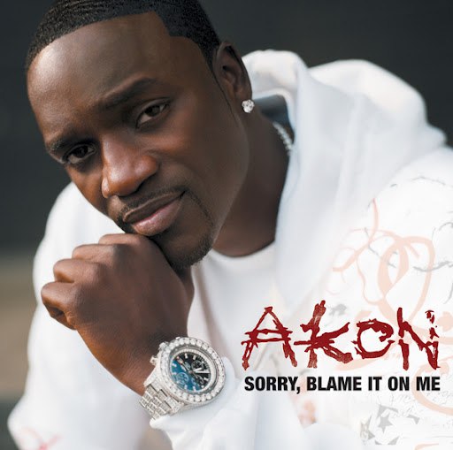 Akon альбом Sorry, Blame It On Me