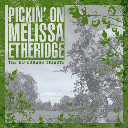 Pickin' On Series альбом Pickin On Melissa Etheridge Volume Two