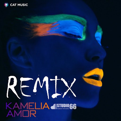 Kamelia альбом Amor (Studio 66 Remix)