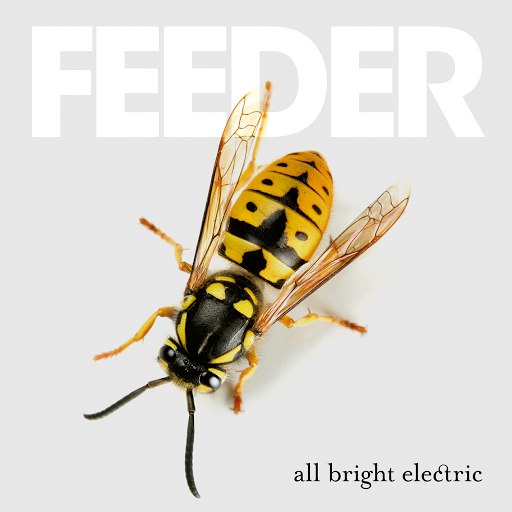 Feeder альбом All Bright Electric
