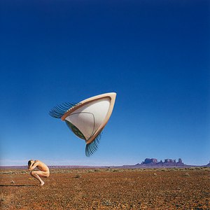 The Cranberries альбом Bury the Hatchet