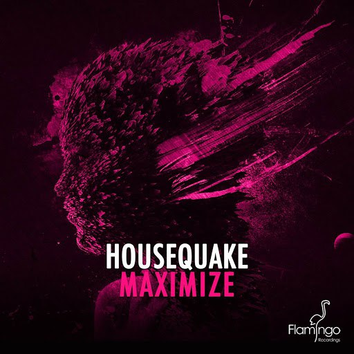 Housequake альбом Maximize