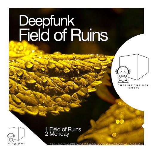 Deepfunk альбом Field of Ruins