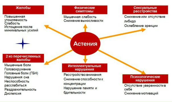 Астения (астенический синдром) — постепенно развивающееся психопатологическое расстройство, сопровождающее многие заболевания организма. Астения проявляется усталостью, снижением психической и физической работоспособности, нарушениями сна, повышенной раздражительностью или наоборот вялостью, эмоциональной неустойчивостью, вегетативными нарушениями. Выявить астению позволяет тщательный опрос пациента, исследование его психо-эмоциональной и мнестической сферы. Также необходимо полное диагностическое обследование для выявления основного заболевания, послужившего причиной астении. Лечится астения подбором оптимального трудового режима и рациональной диеты, применением адаптогенов, нейропротекторов и психотропных препаратов (нейролептики, антидепрессанты) 