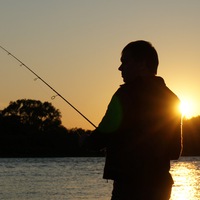 Александр Рыбалка | 