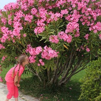 Элла Климова