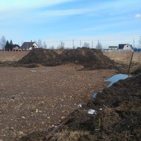 Александр Ларионов