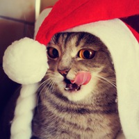 Иванкова Екатерина