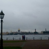 Юлия Алексеева
