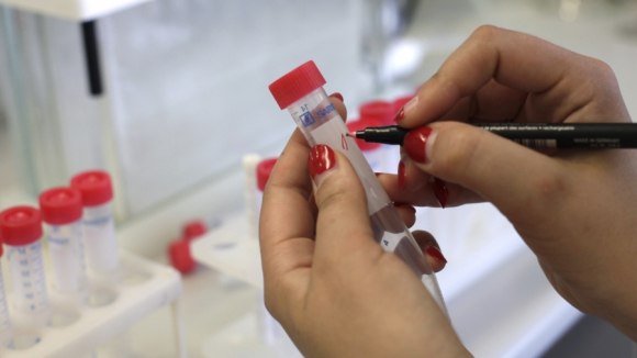 Учёные разработали новый способ обнаружения наркотиков в крови
