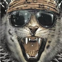 Елена Ершова