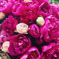 Жанна Климова | Новочеркасск