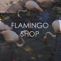 Ирина Абрамова