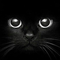 Александр Шиловский | Саратов