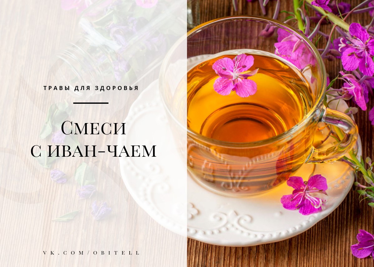 Употребляя этот напиток 15 дней, вы избавитесь от 5-7 кг токсинов, головных болей, усталости, забывчивости и не только изображения Употребляя этот напиток 15 дней, вы избавитесь от 5-7 кг токсинов, головных болей, усталости, забывчивости и не только изоражения