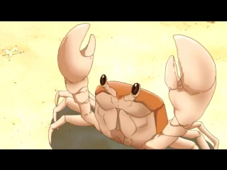 mr Crab ams_webm