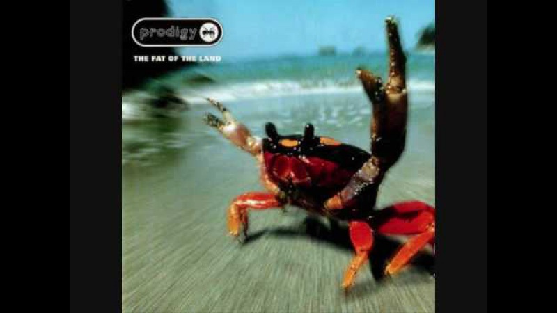 Narayan - The Prodigy