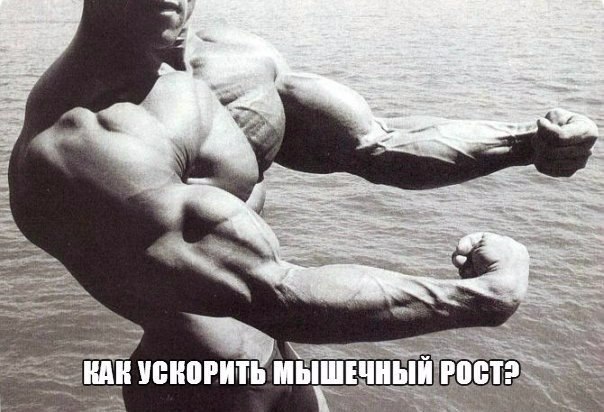 Как ускорить мышечный рост?
