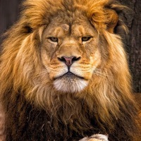 Геннадий Баранов | 